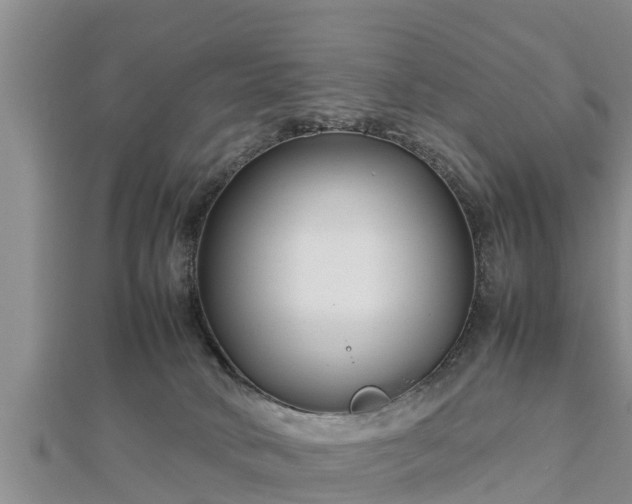 X0000112790034200908281516