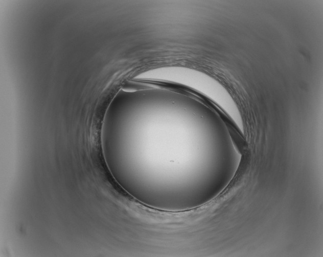 X0000112790035200908281516