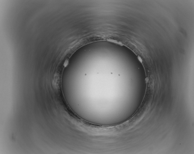 X0000112790036200908281516