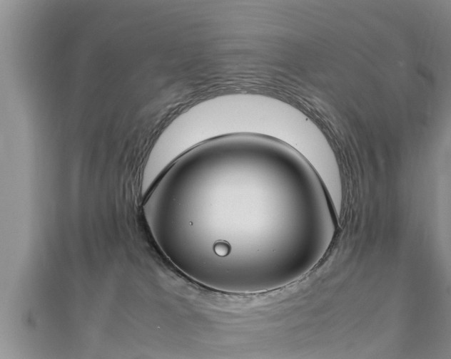 X0000112790037200908281516