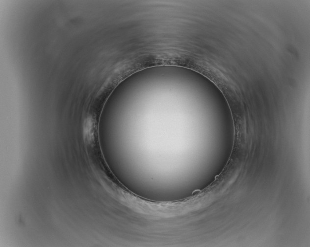 X0000112790038200908281516