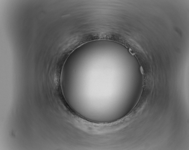 X0000112790039200908281516