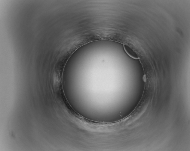 X0000112790040200908281516