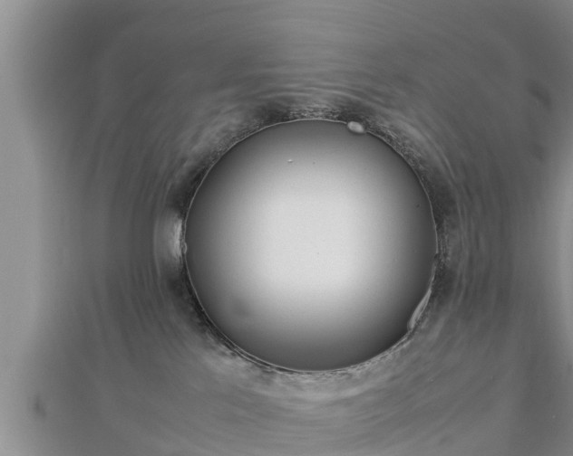 X0000112790041200908281516