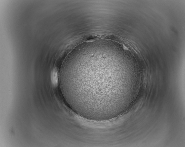 X0000112790042200908281516