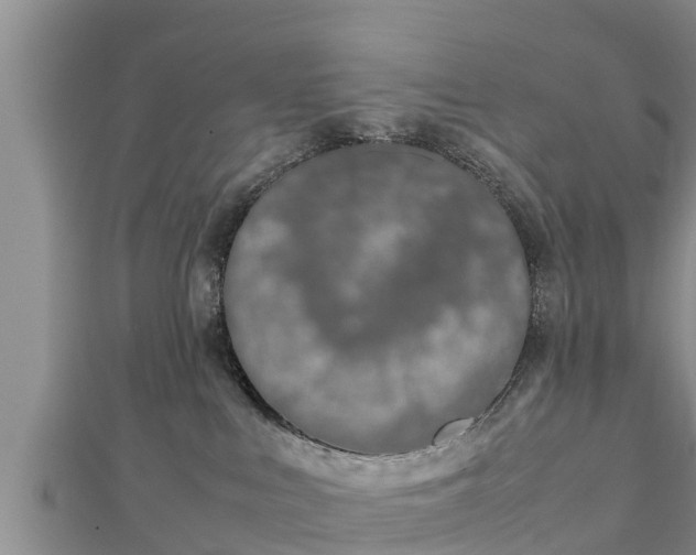 X0000112790043200908281516