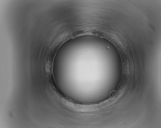 X0000112790044200908281516