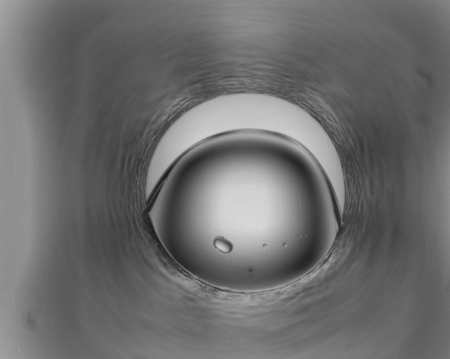 X0000112790045200908281516