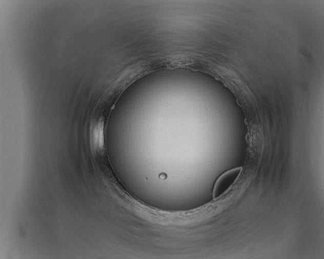 X0000112790046200908281516