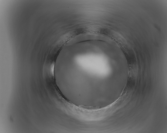 X0000112790047200908281516