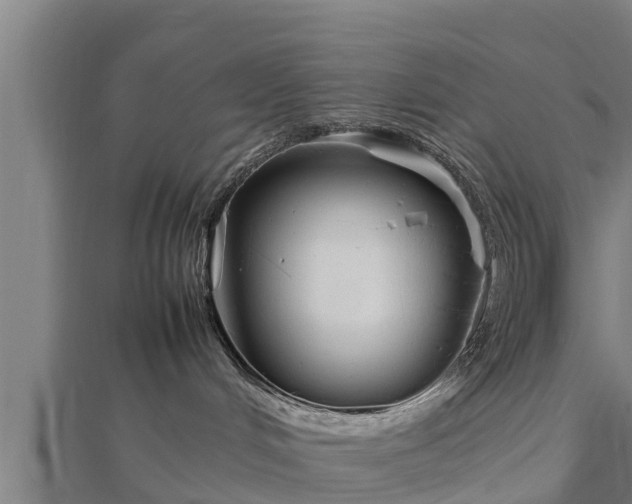 X0000112790048200908281516