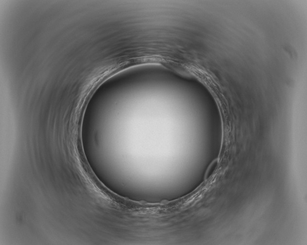 X0000112790049200908281515