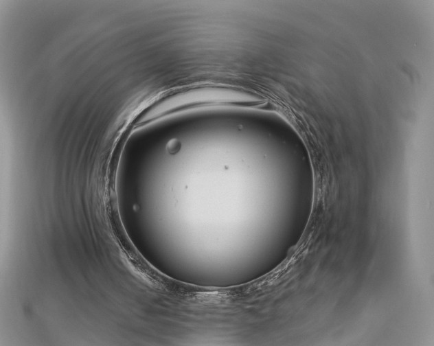 X0000112790050200908281515