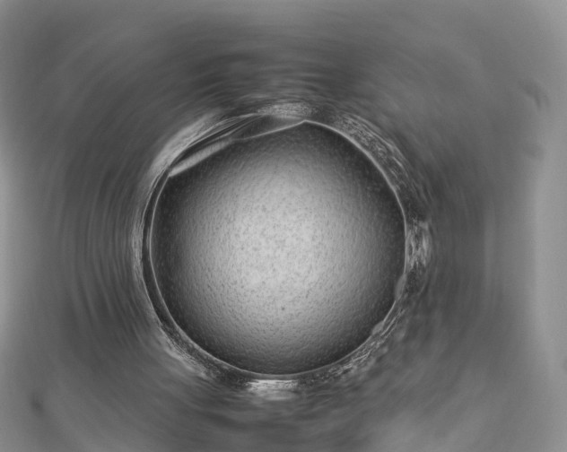 X0000112790051200908281515