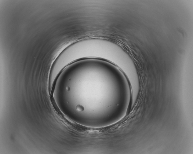 X0000112790052200908281515