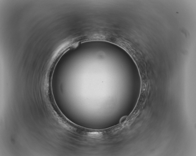 X0000112790053200908281515