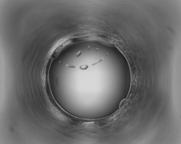 X0000112790054200908281516