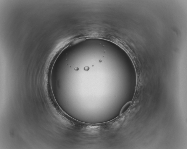 X0000112790055200908281516