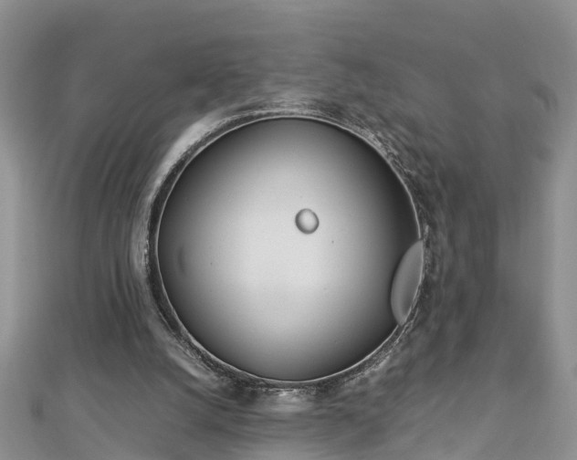 X0000112790056200908281516