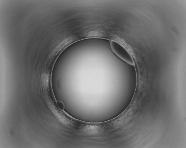 X0000112790057200908281516