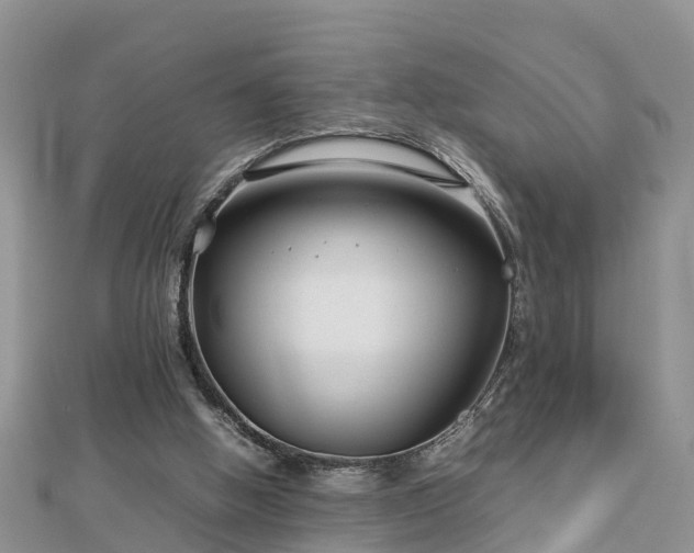 X0000112790058200908281516