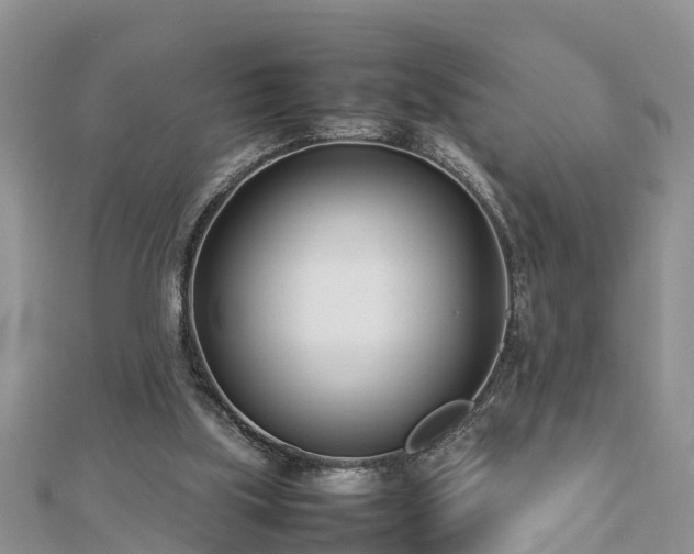 X0000112790059200908281516