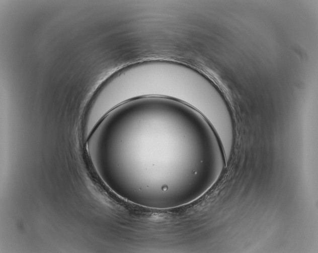 X0000112790060200908281516