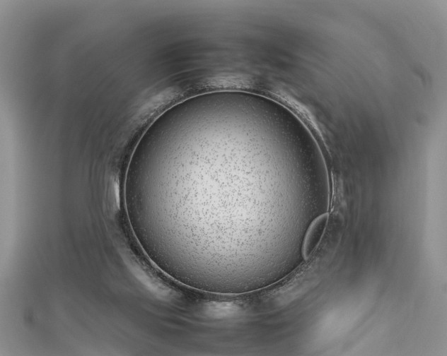 X0000112790061200908281516