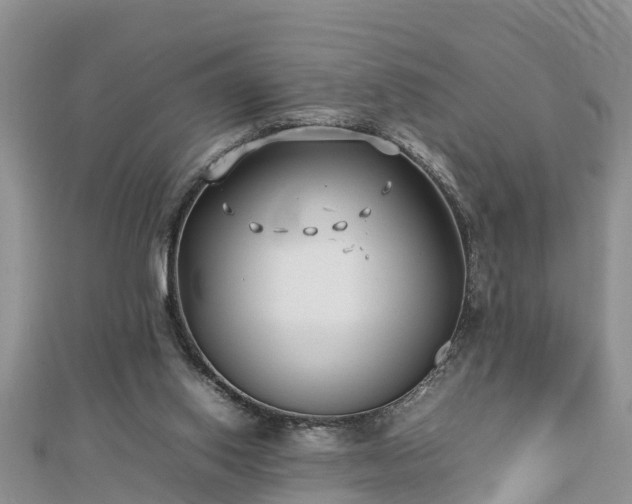 X0000112790062200908281516