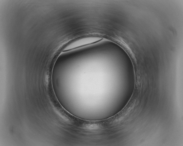 X0000112790063200908281516