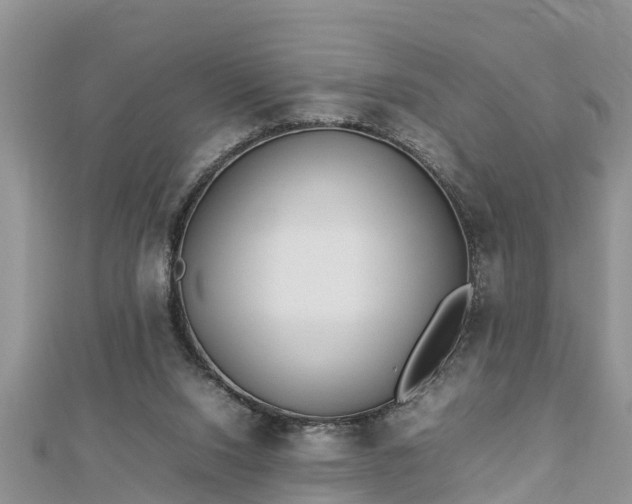 X0000112790064200908281516