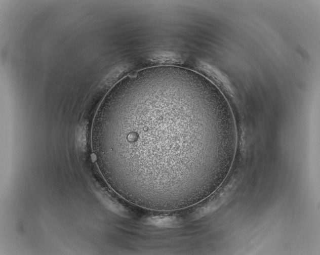 X0000112790065200908281516