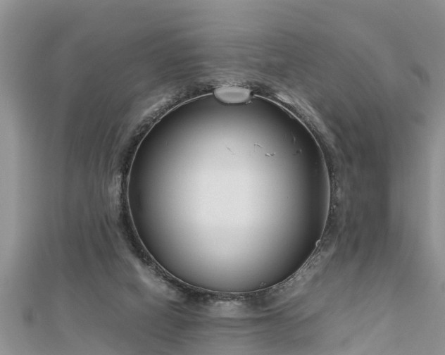 X0000112790066200908281516