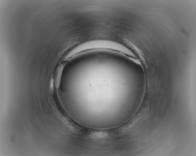 X0000112790067200908281516