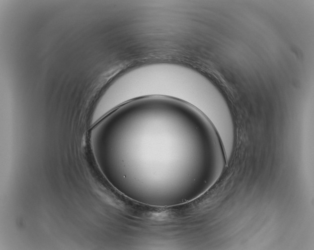 X0000112790068200908281516