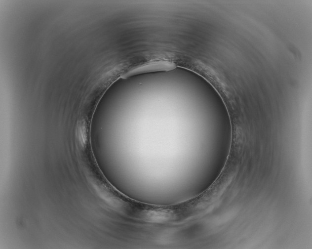 X0000112790069200908281516