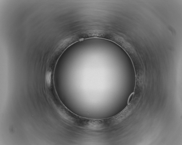 X0000112790070200908281516