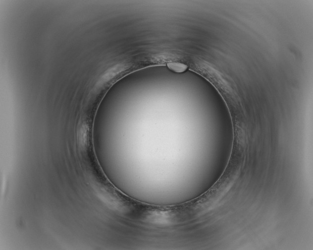 X0000112790071200908281516