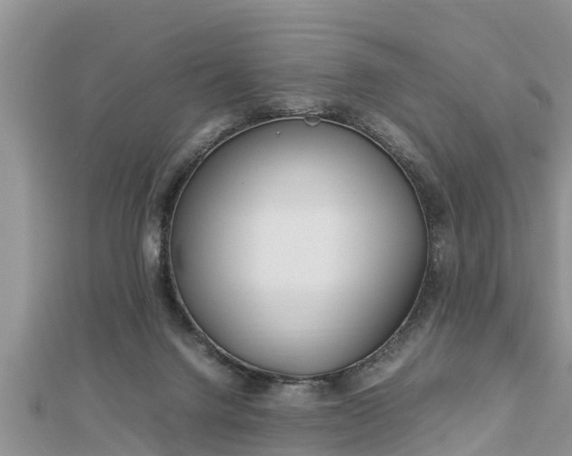 X0000112790072200908281516