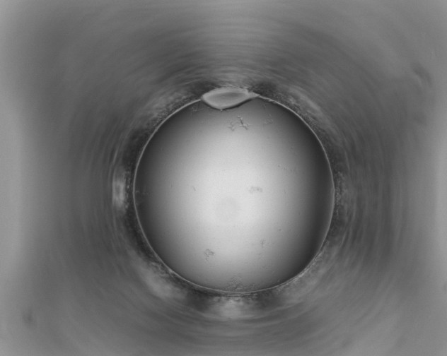 X0000112790074200908281516