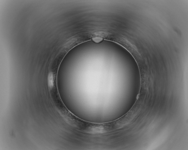 X0000112790075200908281516