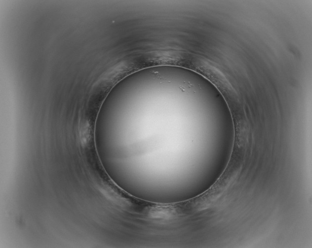 X0000112790077200908281516