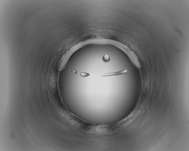 X0000112790078200908281516