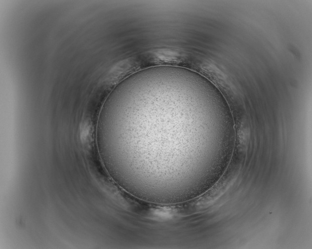 X0000112790079200908281516