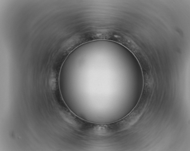 X0000112790080200908281516