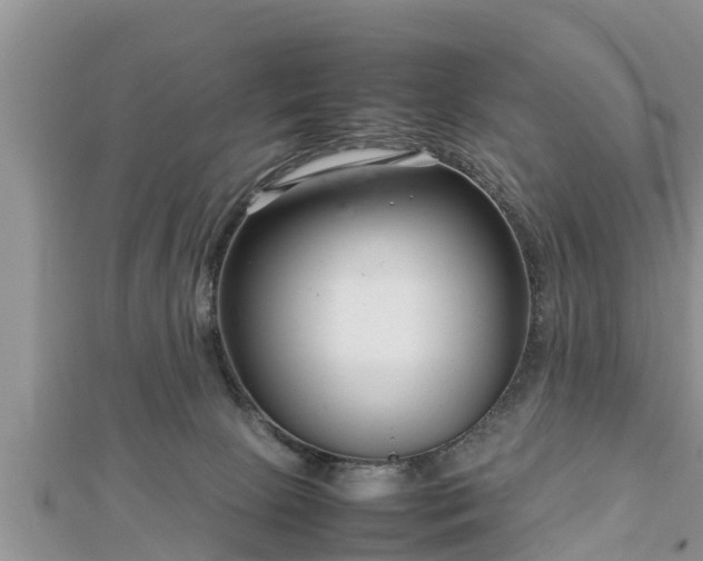 X0000112790081200908281516