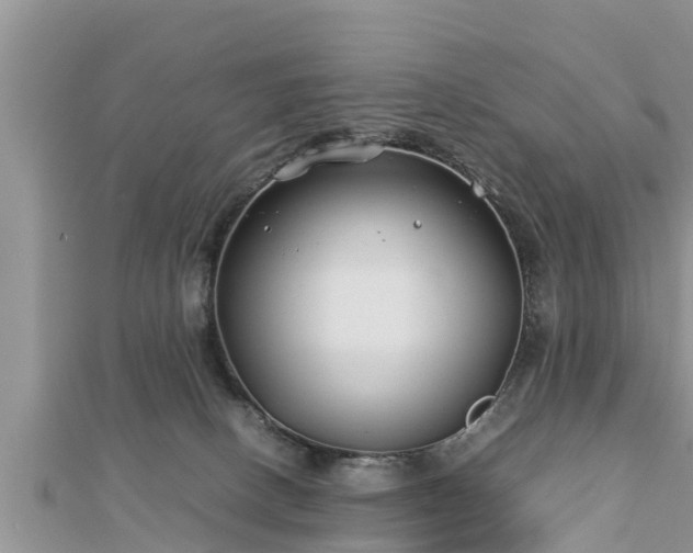 X0000112790082200908281516