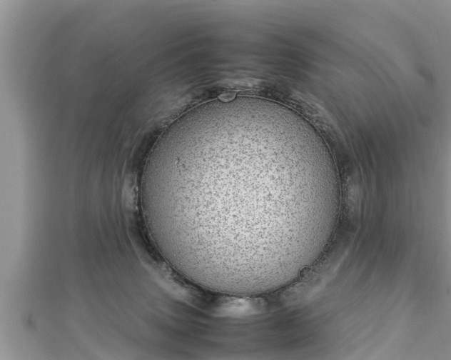 X0000112790083200908281516