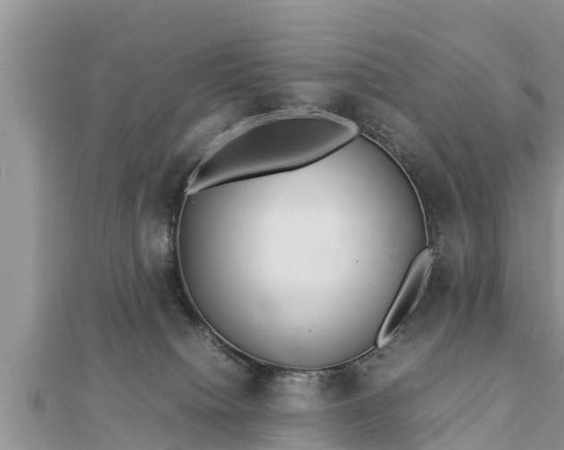 X0000112790084200908281516