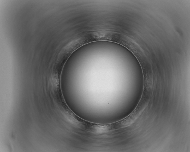 X0000112790085200908281516